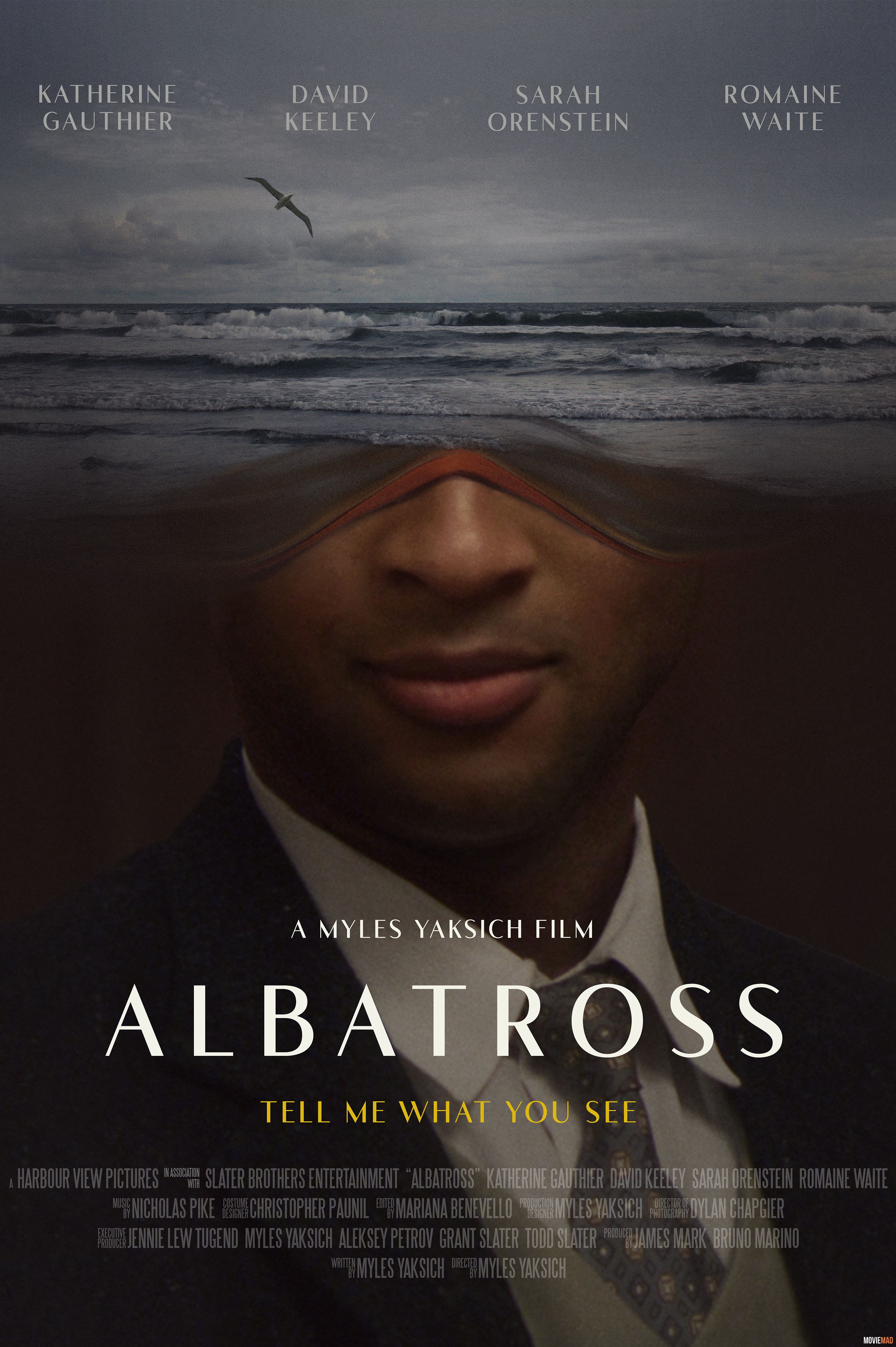 Albatross 2022 Bengali (Voice Over) Dubbed WEBRip Full Movie 720p 480p