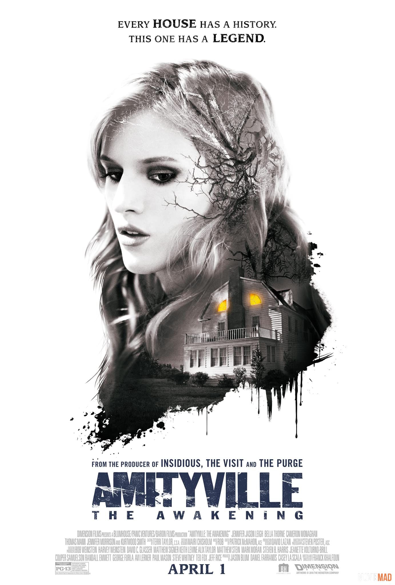 Amityville: The Awakening 2017 Hindi Dubbed ORG 720 480p BluRay