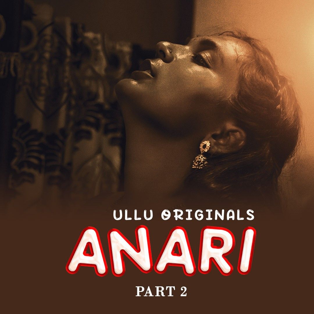 Anari - Part 2 S01 (2023) Hindi Web Series HDRip 720p 480p