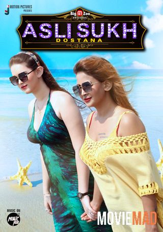 Asli Sukh Dostana S01 2021 Hindi Complete BigMovieZoo Web Series 720p 480p