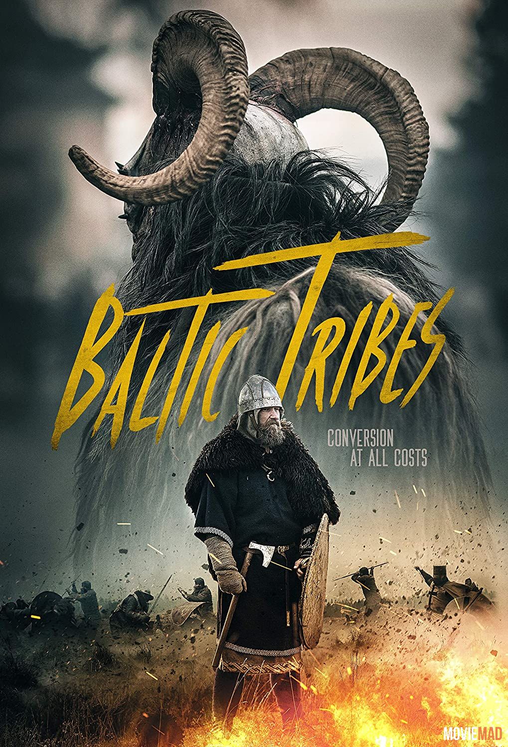 Baltic Tribes 2018 Hindi Dubbed ORG HDRip Full Movie 720p 480p