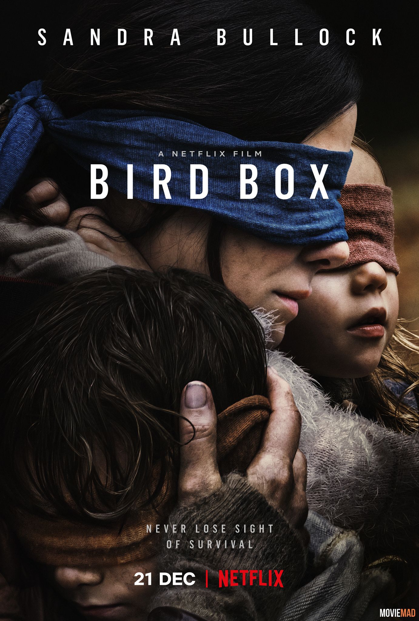 Bird Box 2018 Unofficial Hindi Dubbed WEB DL Full Movie 720p 480p