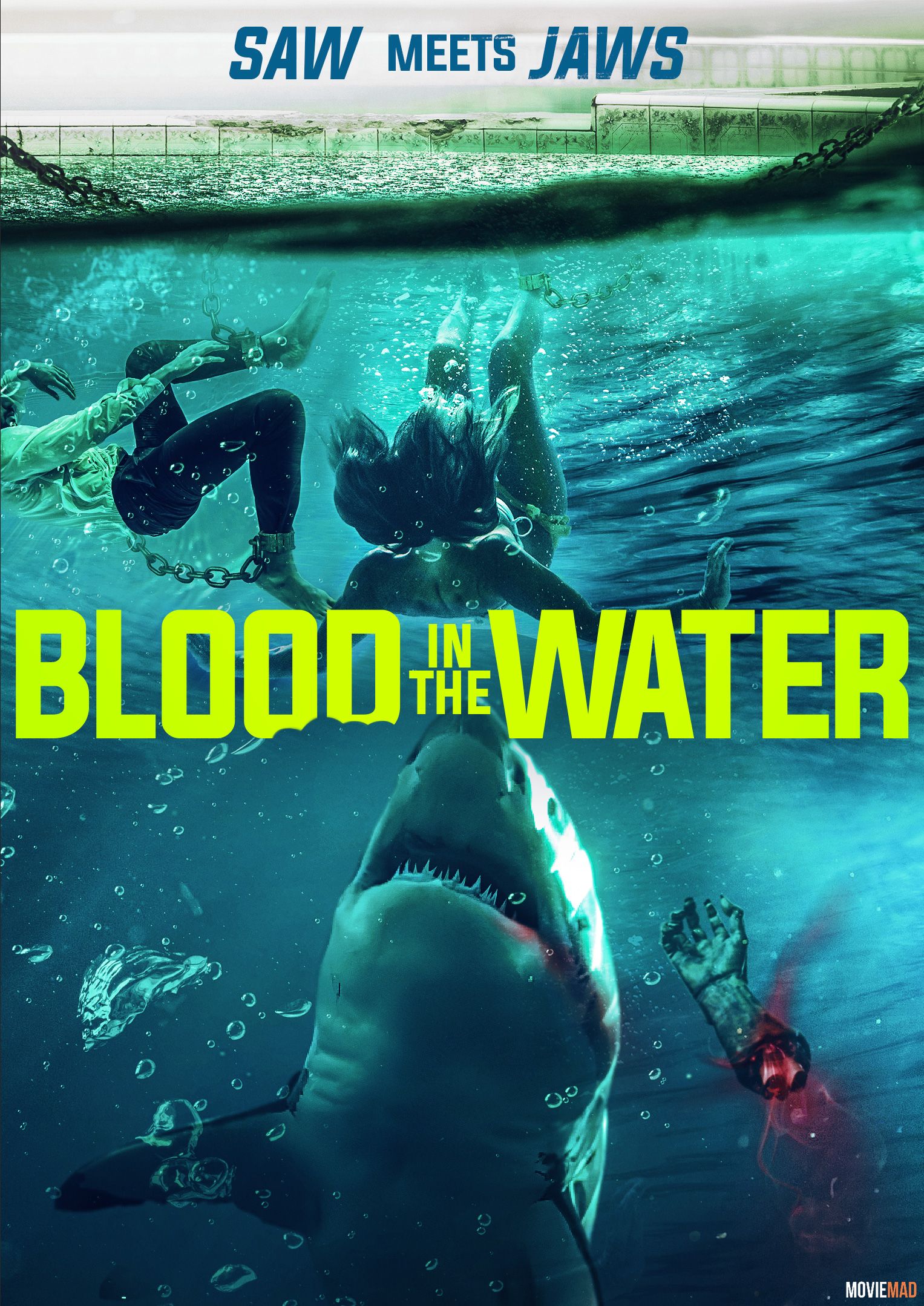 Blood in the Water 2022 Bengali (Voice Over) Dubbed WEBRip Full Movie 720p 480p