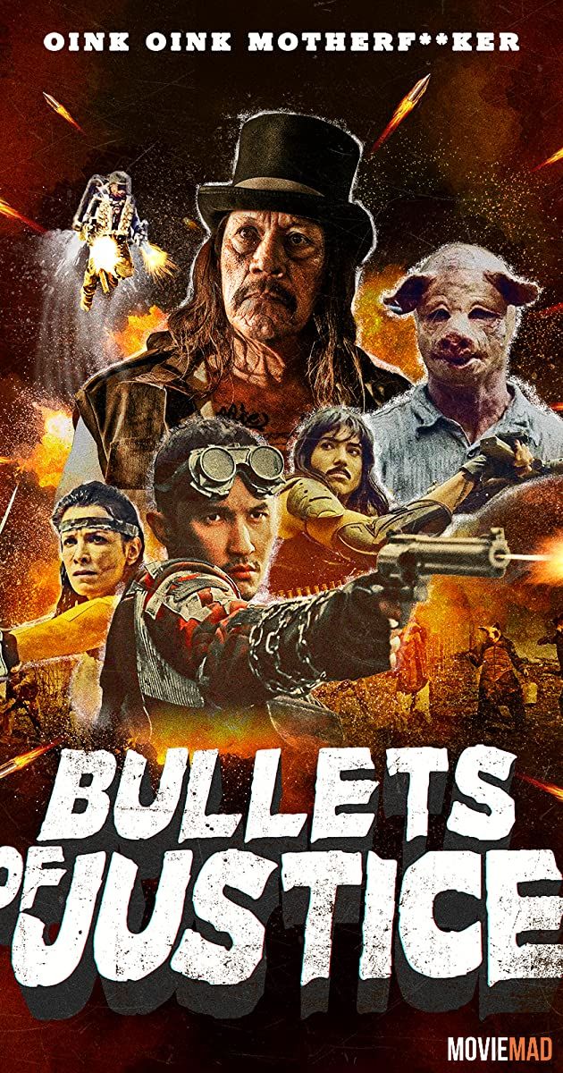 Bullets of Justice 2019 Unofficial Hindi Dubbed WEB DL Full Movie 720p 480p