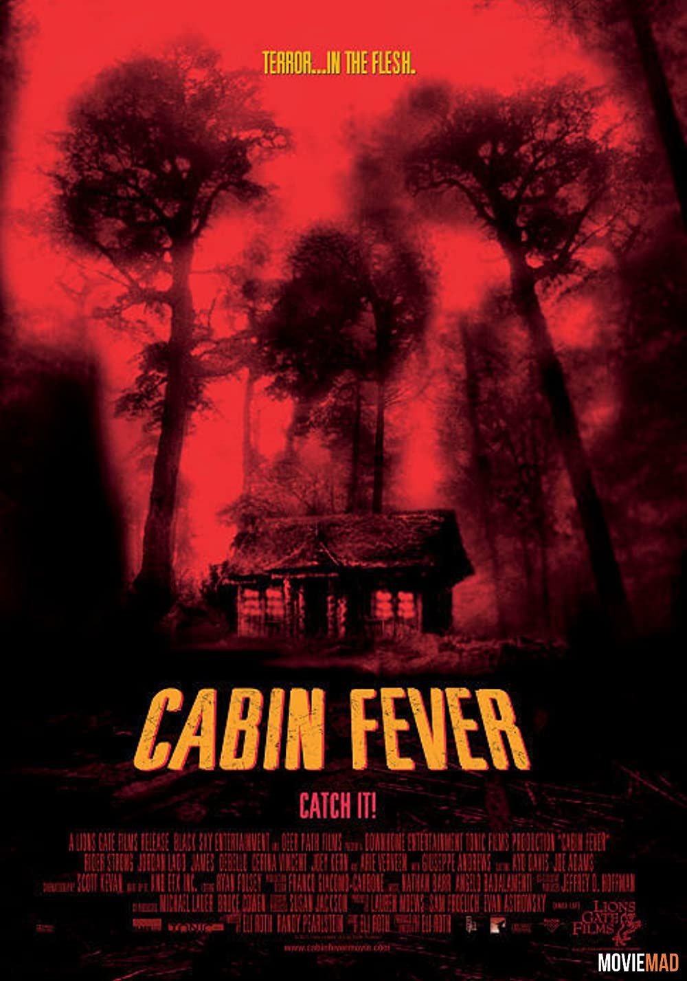 Cabin Fever 2003 Hindi Dubbed BluRay Full Movie 720p 480p