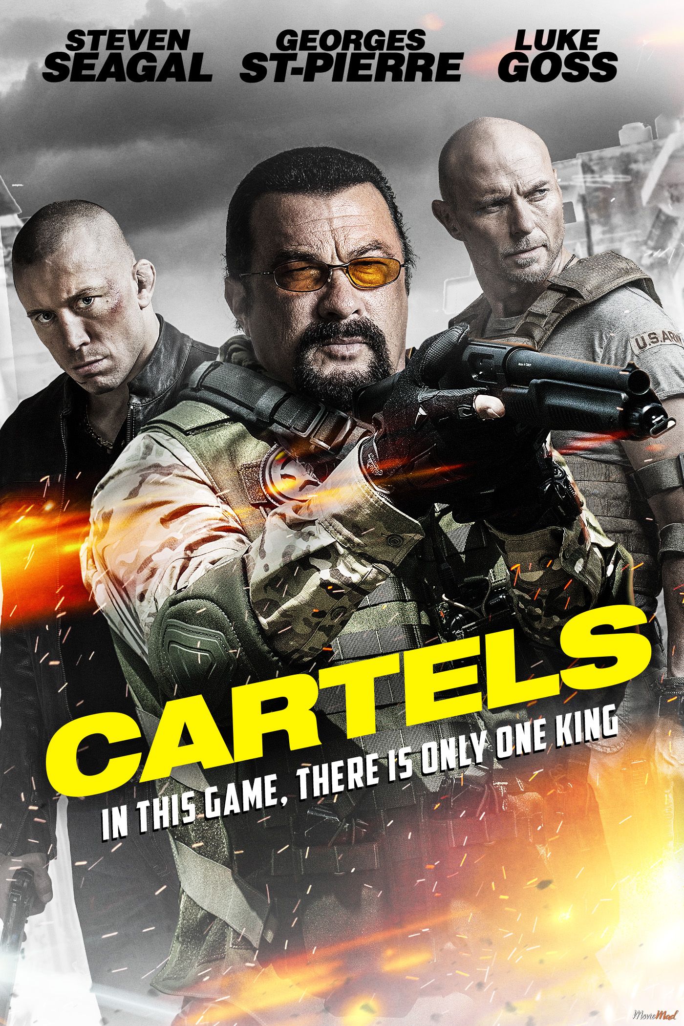 Cartels 2017 Dual Audio Hindi 480p 720p Bluray