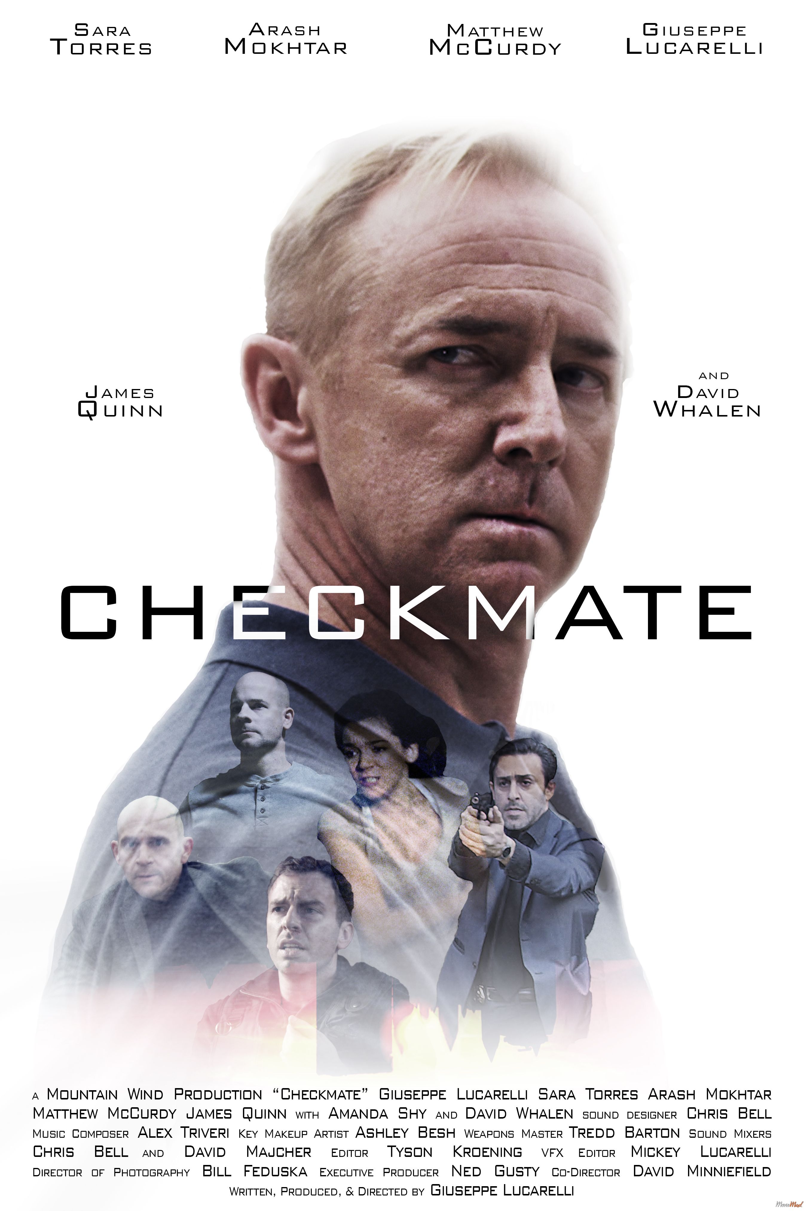 Checkmate 2019 Unofficial Hindi Dubbed WEB DL Full Movie 720p 480p