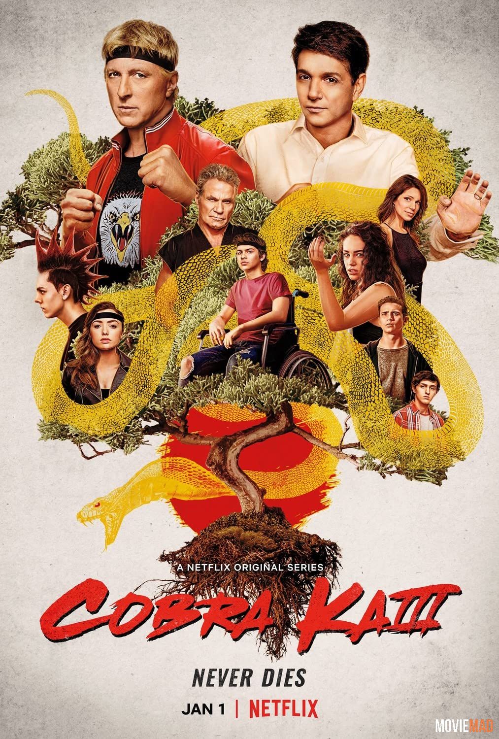 Cobra Kai S03 2021 Hindi Dubbed WEB DL Netflix Full Series 720p 480p