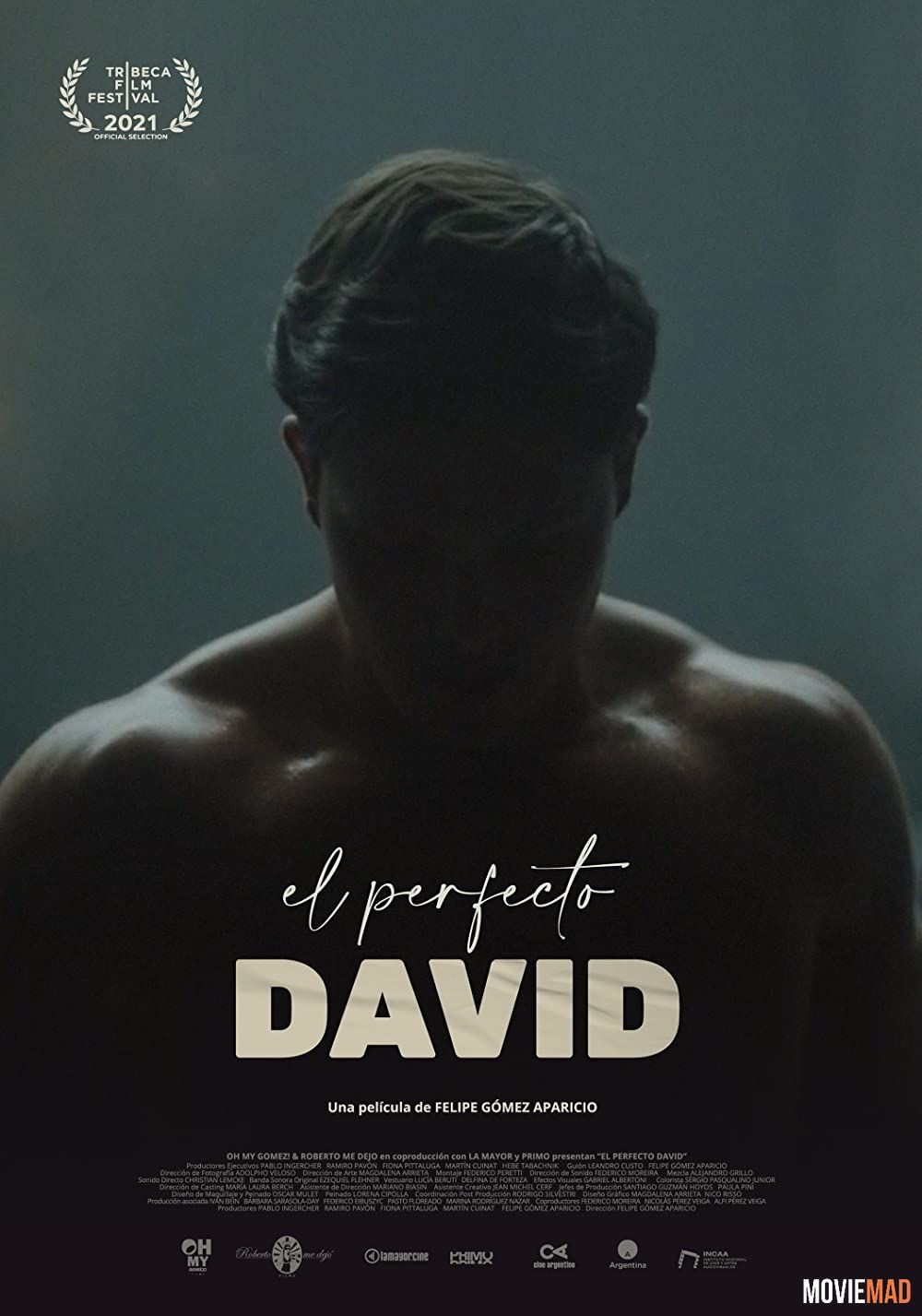 El perfecto David 2021 Hindi (Voice Over) Dubbed WEBRip Full Movie 720p 480p