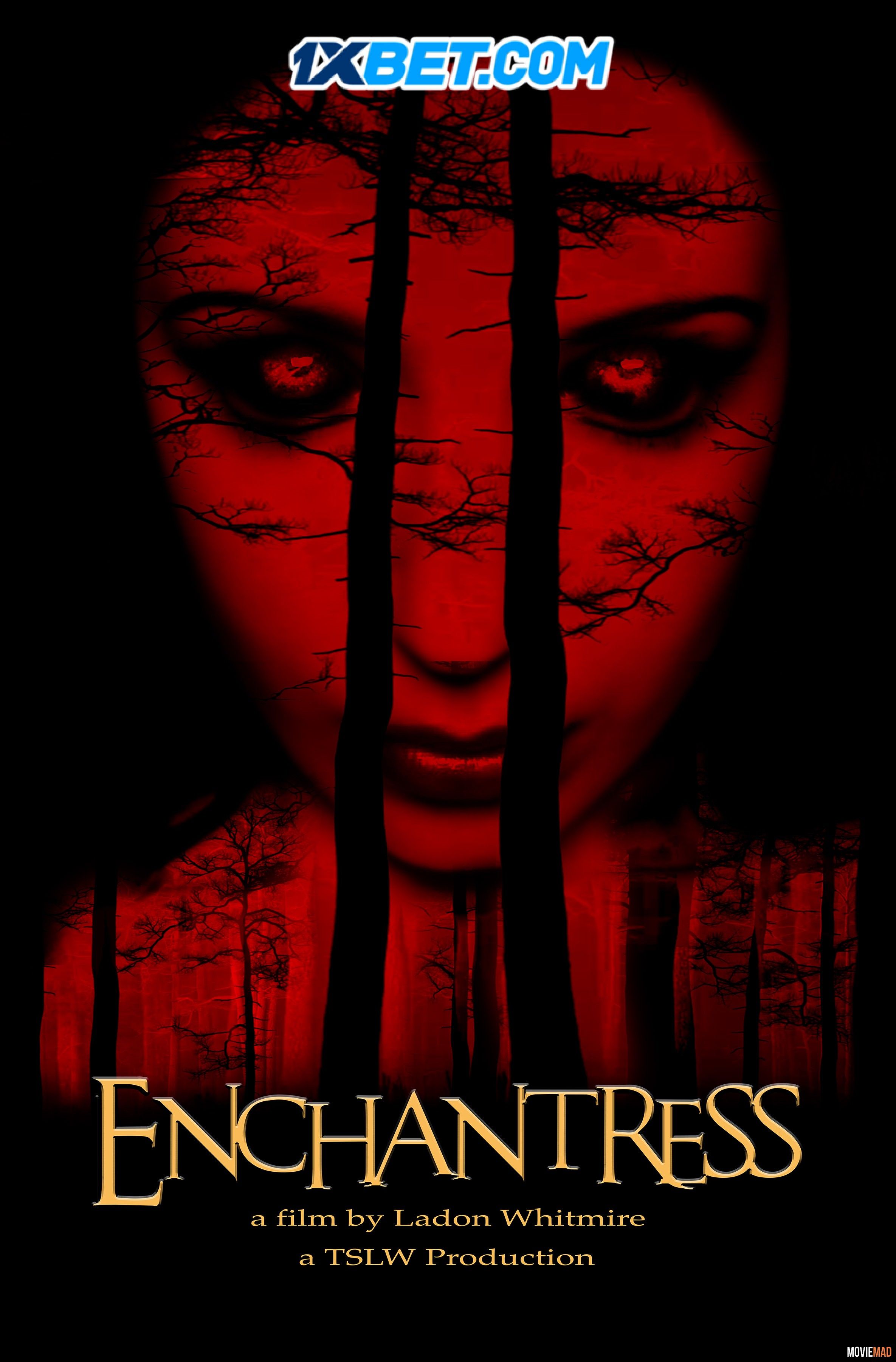 Enchantress 2022 Hindi (Voice Over) Dubbed WEBRip Full Movie 720p 480p