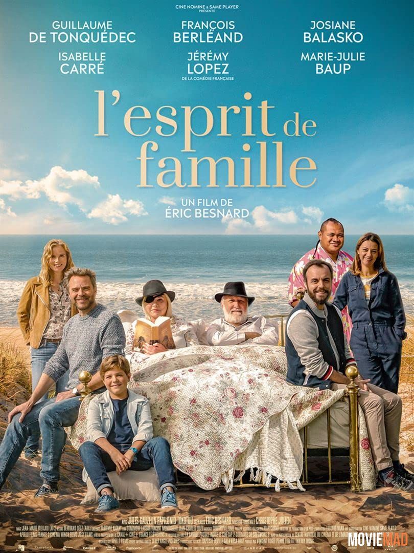 L esprit de famille 2019 Hindi (Voice Over) Dubbed WEBRip Full Movie 720p 480p