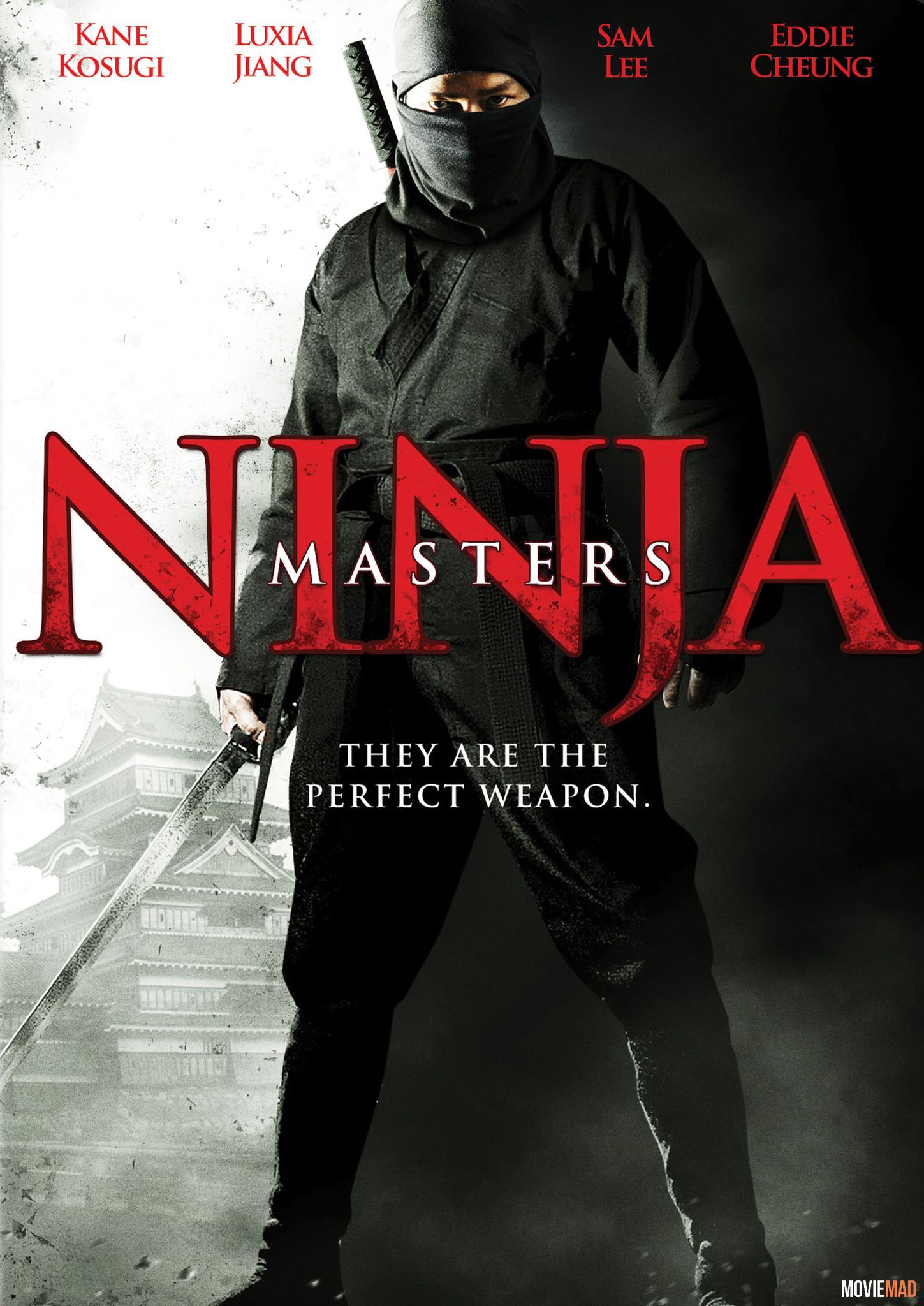 Ninja Masters (2009) Hindi Dubbed HDTVRip Full Movie 720p 480p