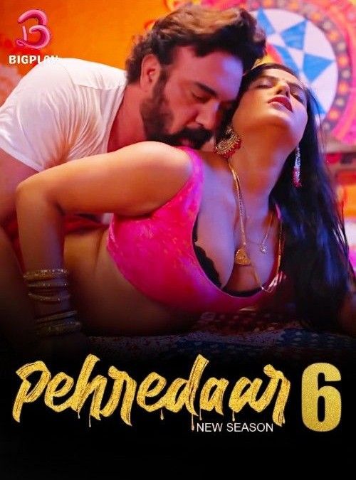 Pehredaar (2024) S06 Part 1 Hindi BigPlay Web Series HDRip