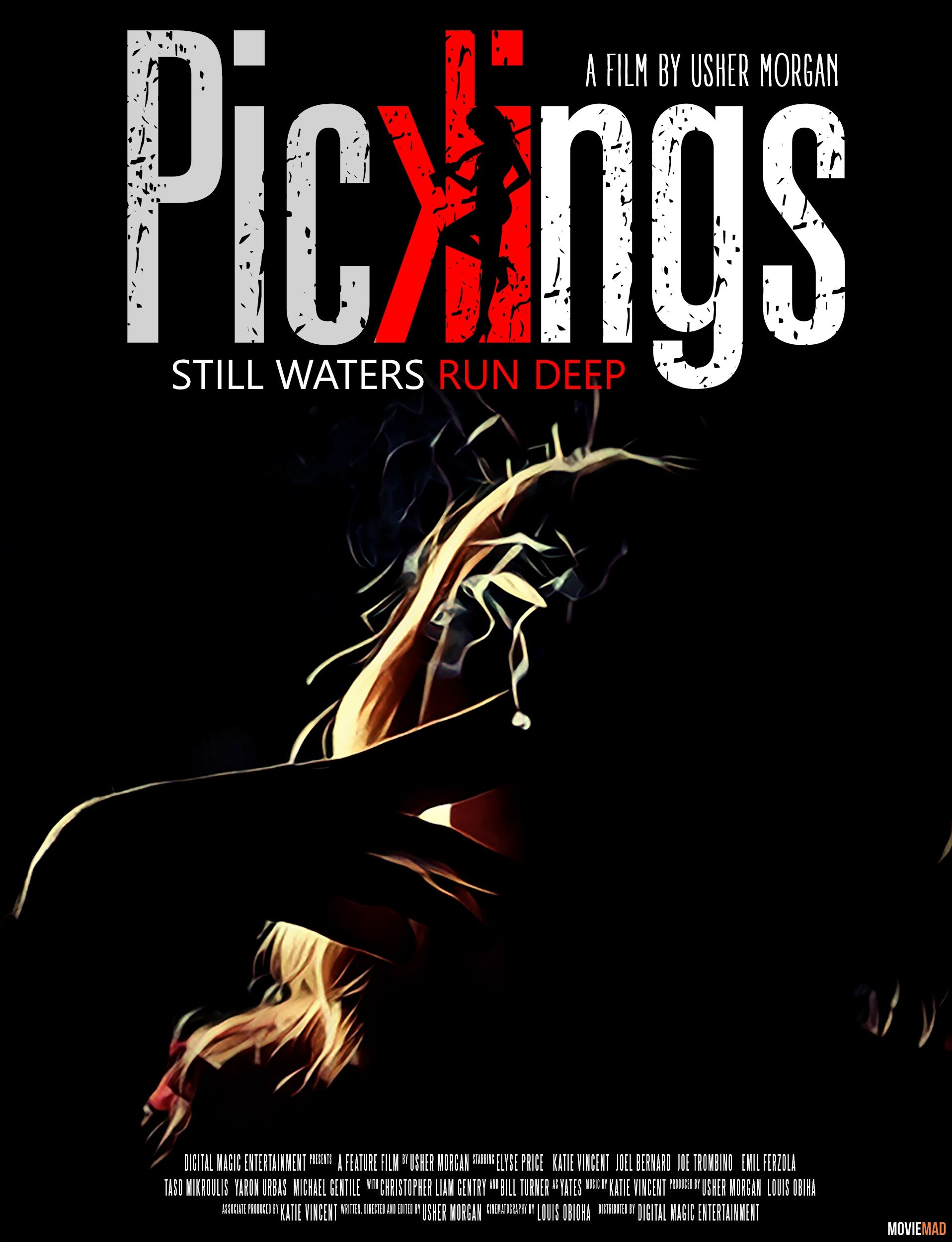 Pickings 2018 Unofficial Hindi Dubbed HDRip Full Movie 720p 480p