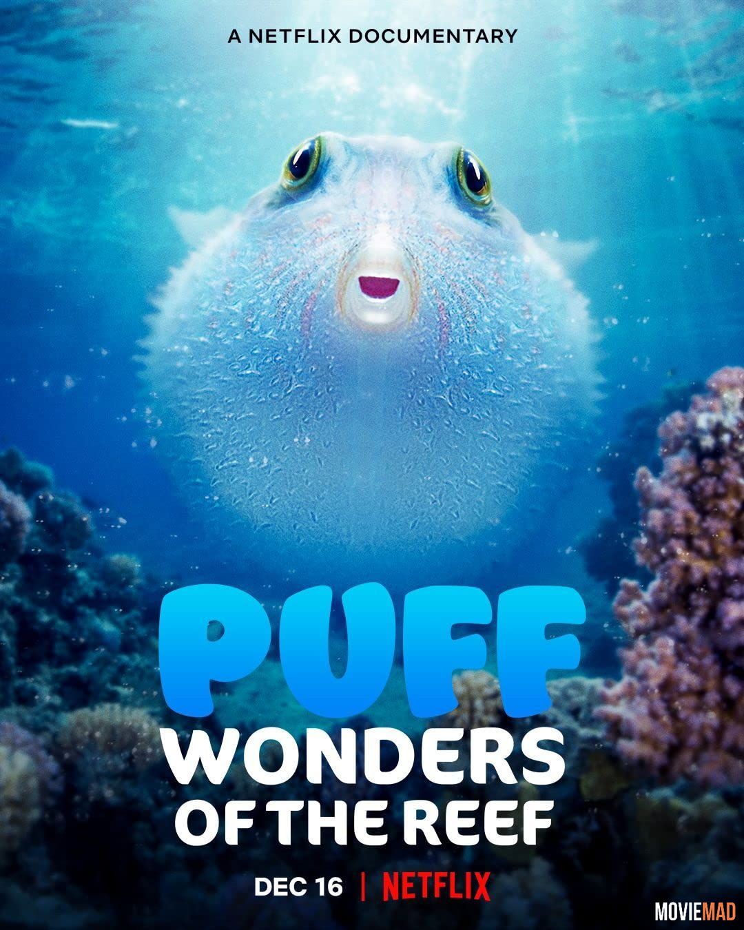 Puff Wonders of the Reef (2021) Hindi Dubbed HDRip Netflix Full Movie 720p 480p