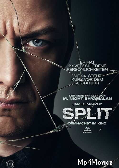 Split 2016 Dual Audio Hindi 480p 720p BluRay