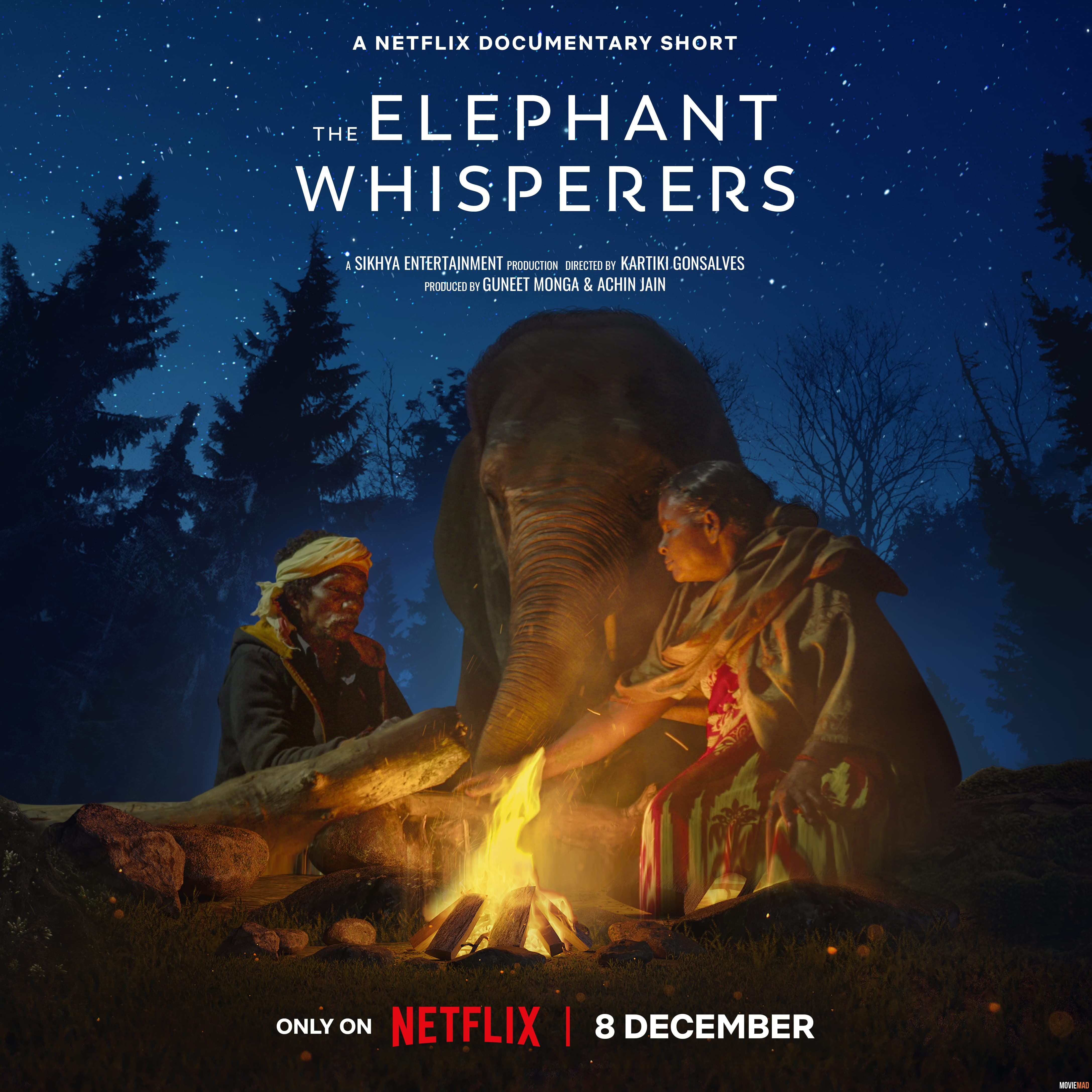 The Elephant Whisperers Short (2022) Hindi Dubbed ORG HDRip Full Movie 1080p 720p 480p