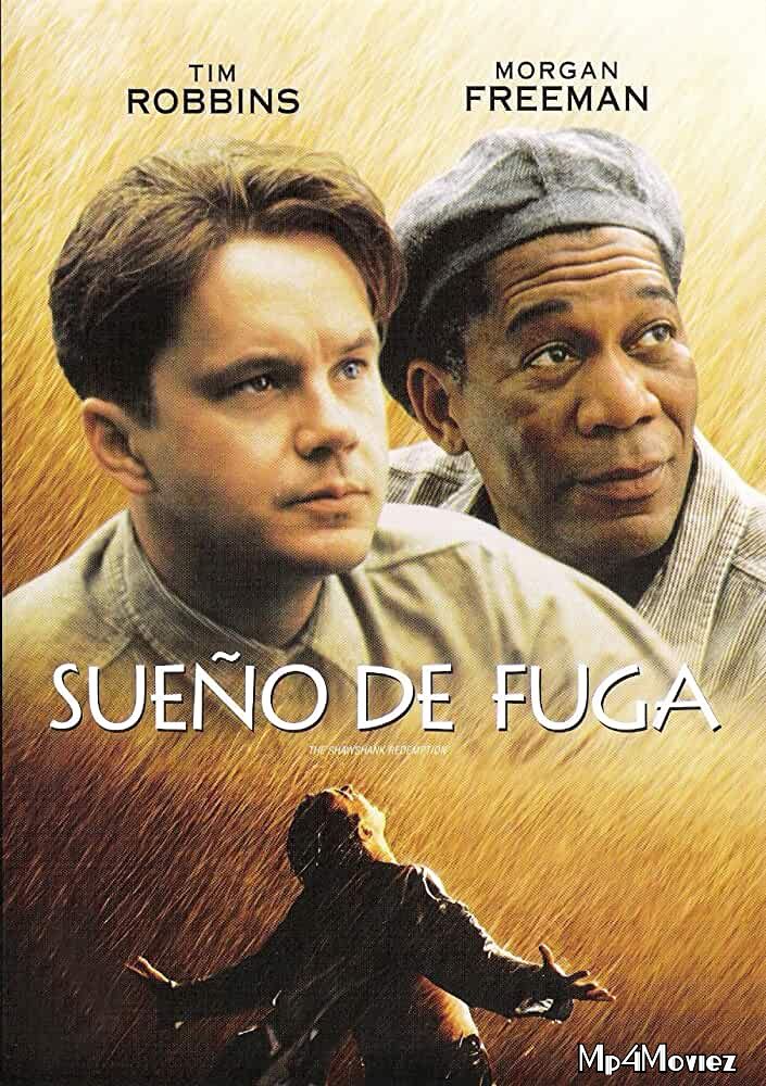 The Shawshank Redemption (1994) Hindi Dubbed BluRay 720p 480p