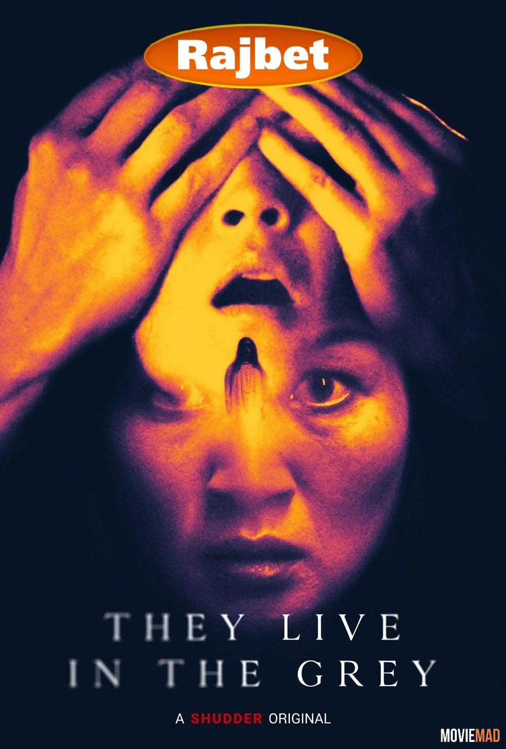 They Live in the Grey (2022) Hindi (Voice Over) Dubbed WEBRip Full Movie 720p 480p