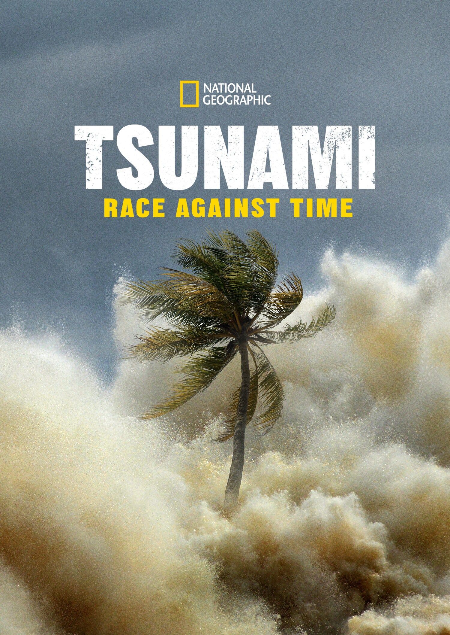 Tsunami Race Against Time (2024) (Season 1 Complete) Hindi Dubbed Series HDRip