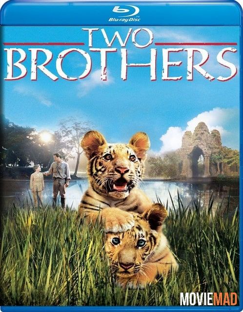 Two Brothers (2004) Hindi Dubbed ORG BluRay Full Movie 720p 480p